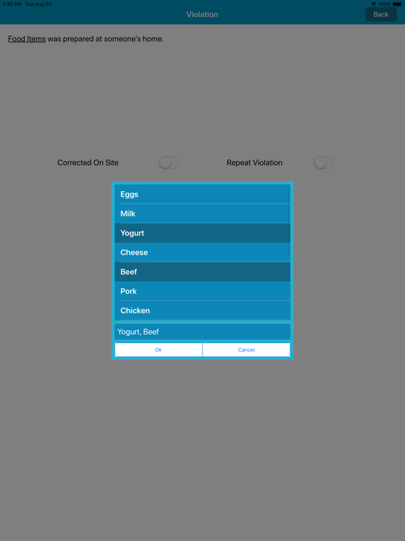 Remote Auditor iPad screenshot