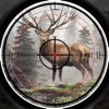 Animal Hunting Cash Tournament icon