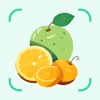 FruitVegetableSnap -Identifier icon