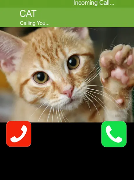 Call Cat 2