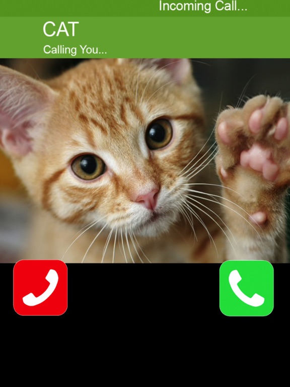 Screenshot #4 pour Call Cat 2