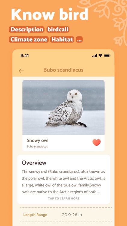 BirdScan: Bird Identifier screenshot-3