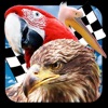 Bird Race 3D icon