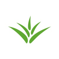 Green Place | Витебск logo