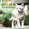 猫の百科辞典