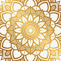 Mandala Maker 360 Pro