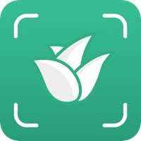  Plant Finder Identifier & Care Alternatives