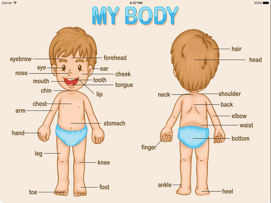 Screenshot #4 pour My Body Parts Learning