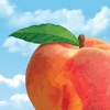 Peach State FCU Mobile icon