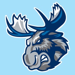 Manitoba Moose