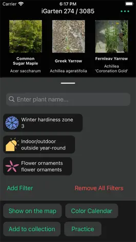 Game screenshot iGarten apk