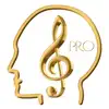 Curso de Teoría Musical PRO problems & troubleshooting and solutions