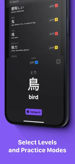 Game screenshot JLPT Words: Vocabulary hack