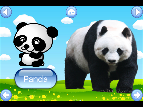 Screenshot #5 pour Zoo Animals Sound Flash Cards