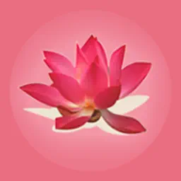 Saint Barth App app icon