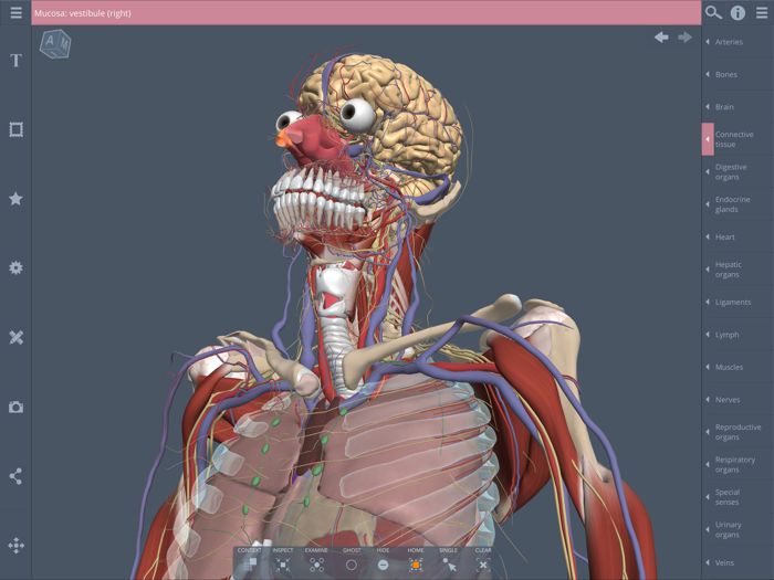 Primals 3D Whole body