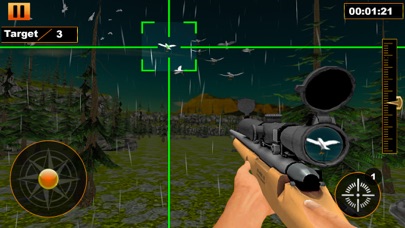 Bird Hunting : Shooting Games Screenshot