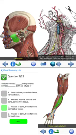 Captura de pantalla de Visual Anatomy Lite en iPhone 9
