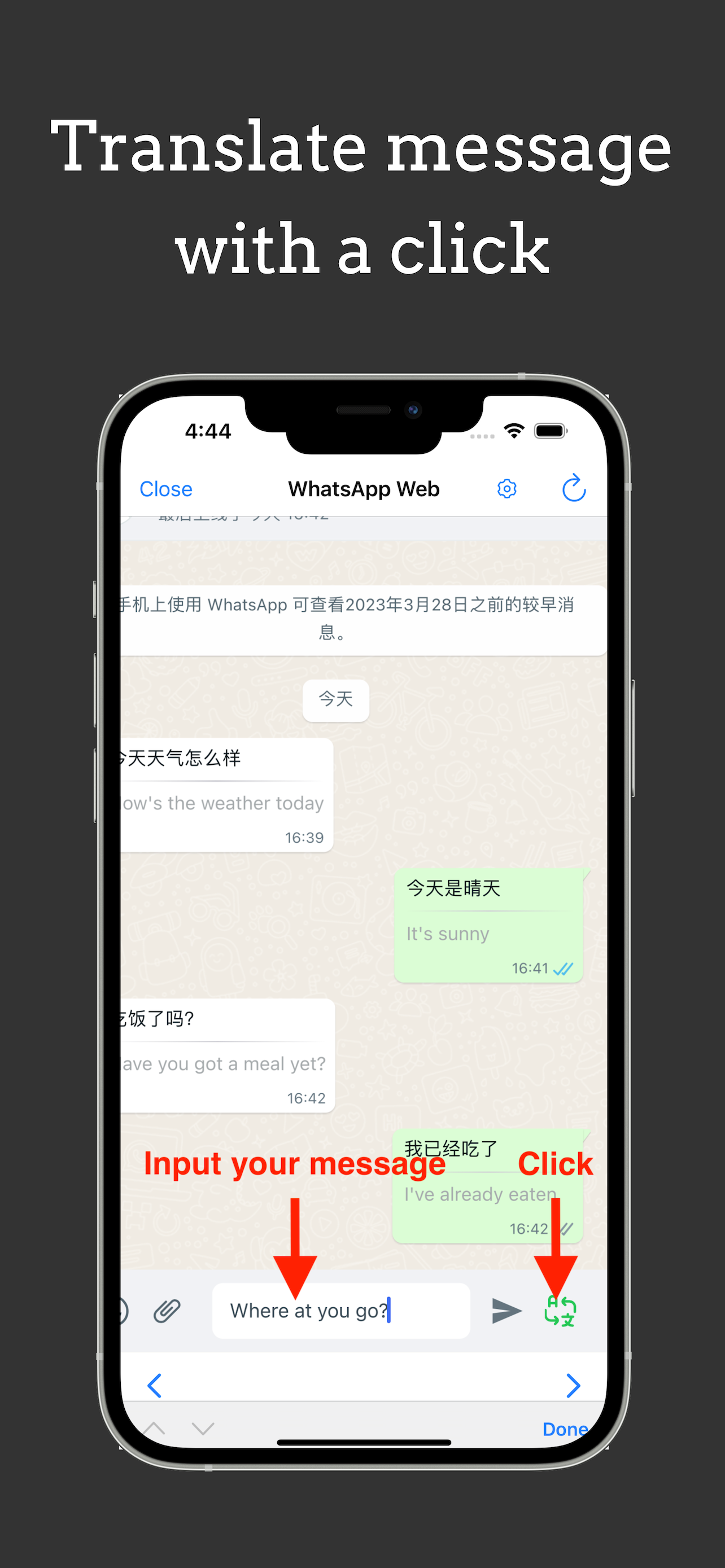 WA Web Plus - Ask Anything