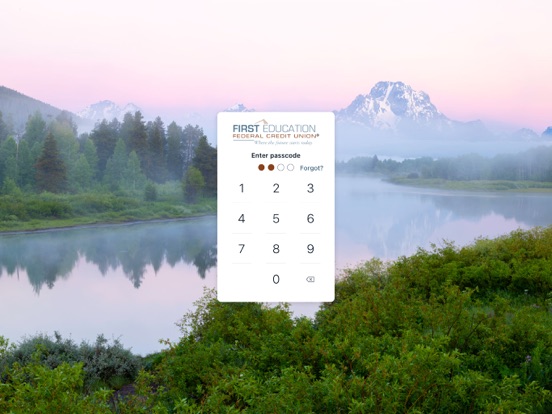 FirstEd AirTeller iPad screenshot 2 - Finance app