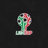 Liga TDP icon