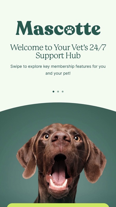 Mascotte Health Screenshot