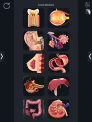 organs anatomy ipad resimleri 2