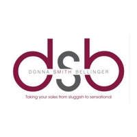 DS Bellinger Consulting LLC logo