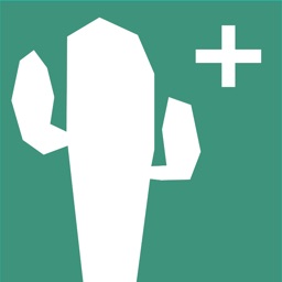 Cactus pays de Redon