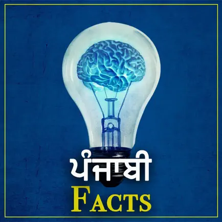 Punjabi Facts Cheats