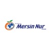 Mersin Nur icon