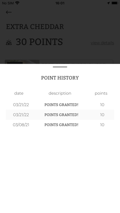 Park Street Pizza Screenshot