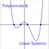 Polynomials and Linear Systems Positive Reviews, comments
