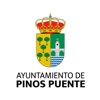 Pinos Puente icon