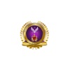 STWC Ministries icon