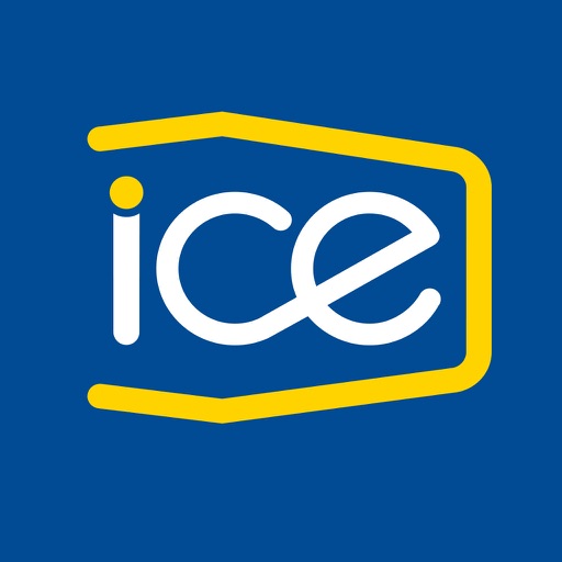 ICE Electricidad icon