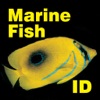 Marine Fish Maldives - iPhoneアプリ