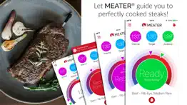 meater® smart meat thermometer iphone screenshot 3