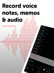 alon dictaphone-voice recorder ipad images 1