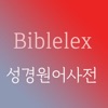바이블렉스 성경본문해석사전2 icon