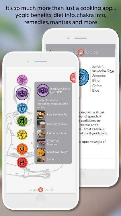 Yogicfoods - Global vegan, vegetarian recipes