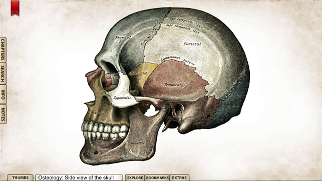 Gray's Anatomy Premium Edition(圖2)-速報App