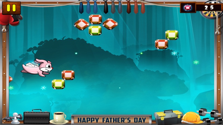 Ninja Rabbit Pro screenshot-4