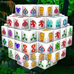 Fairy Mahjong Premium - The New 3D Majong App Problems
