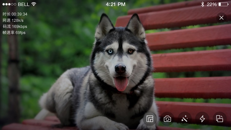 千龙网手机直播系统 screenshot-4
