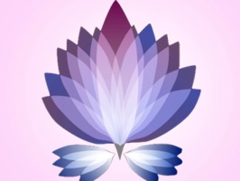Beautiful Flower Stickers