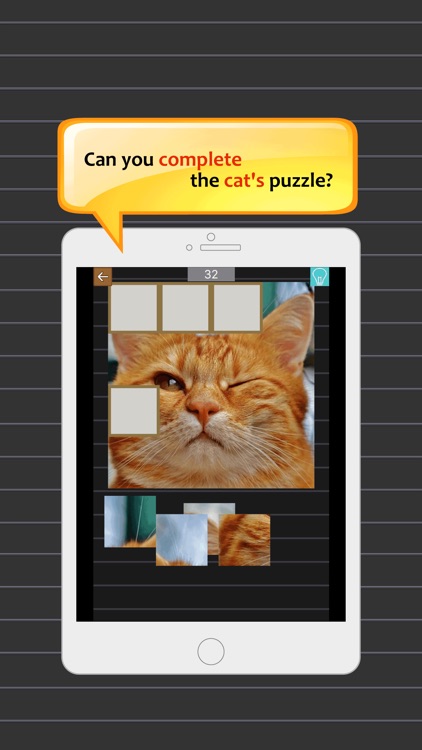 Jigsaw puzzle - cute cats