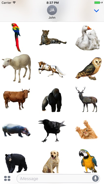 Best Animals Stickers