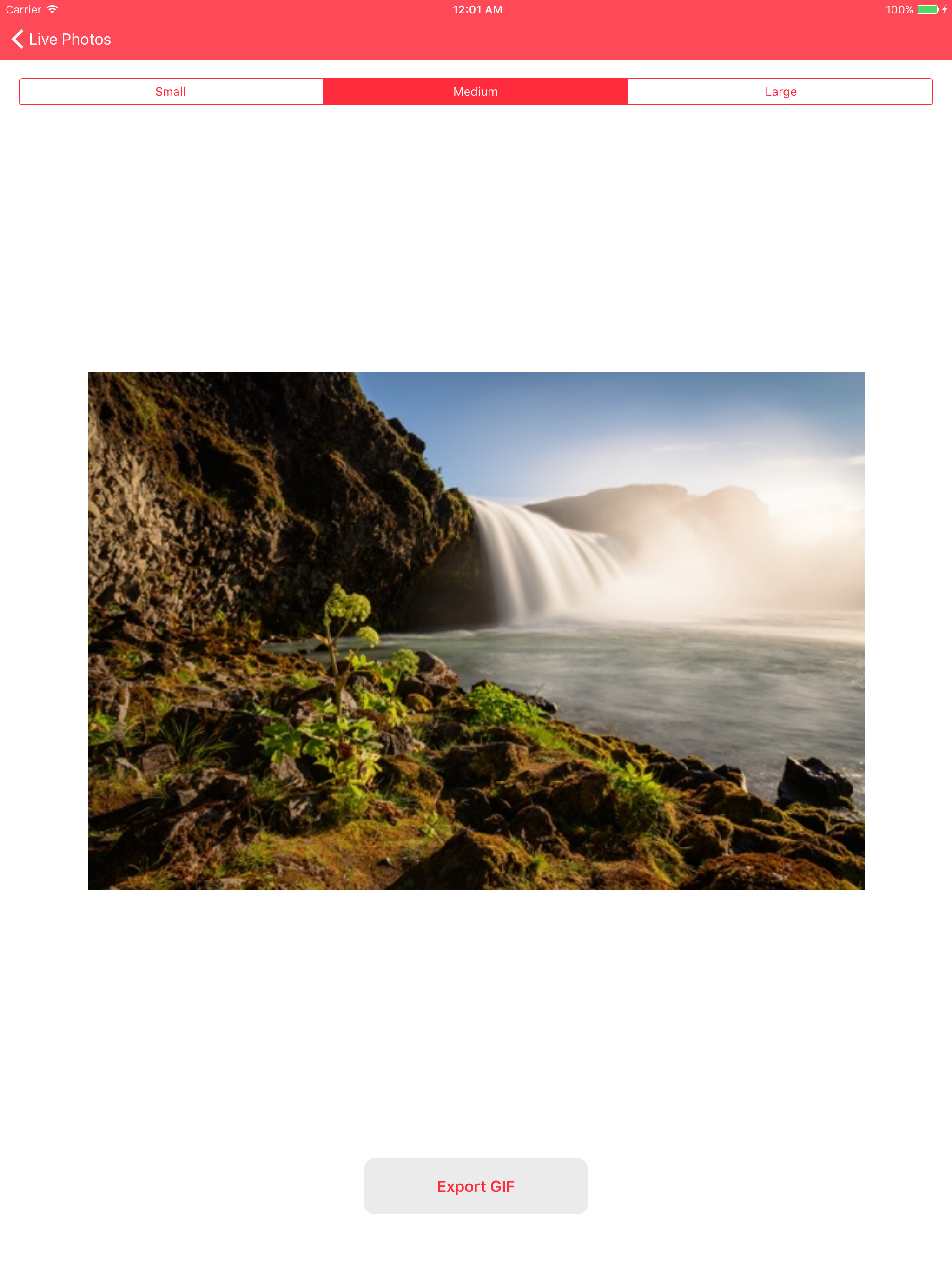 Live Photos to GIF - LiveGIFs
