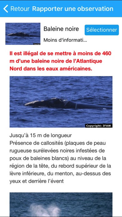 Screenshot #2 pour Whale Alert